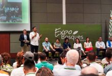 Photo of Con alianzas en ExpoBosques 2022, continúa lucha contra la deforestación.